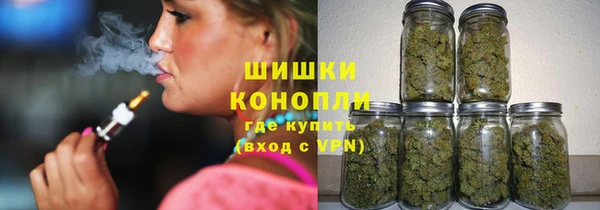дживик Гусев