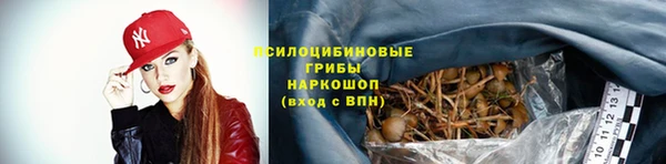 дживик Гусев