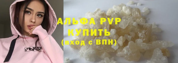 дживик Гусев