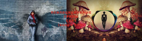 дживик Гусев